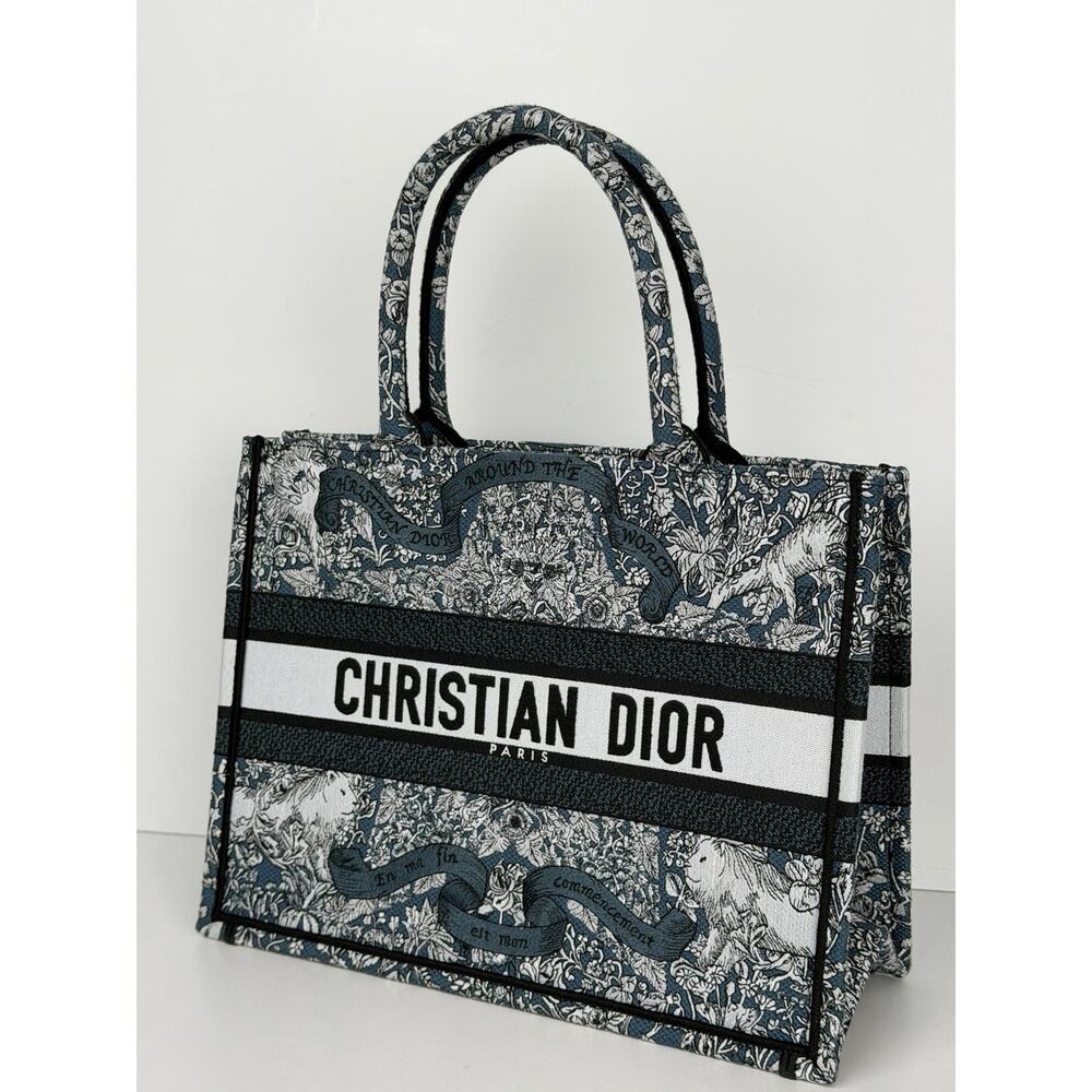 Christian Dior Medium Book Tote in Blue and White Embroidered Canvas 2025 E4